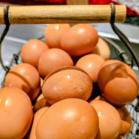 Ibis Centre Bastille Hotel