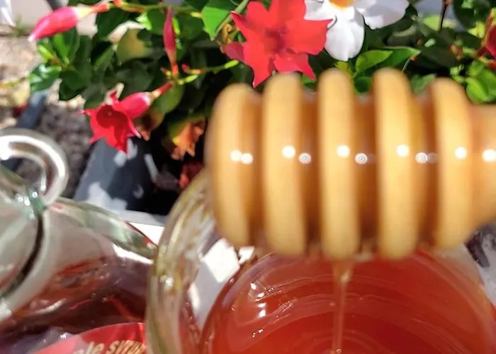 Ibis Centre Bastille 3* グルノーブル