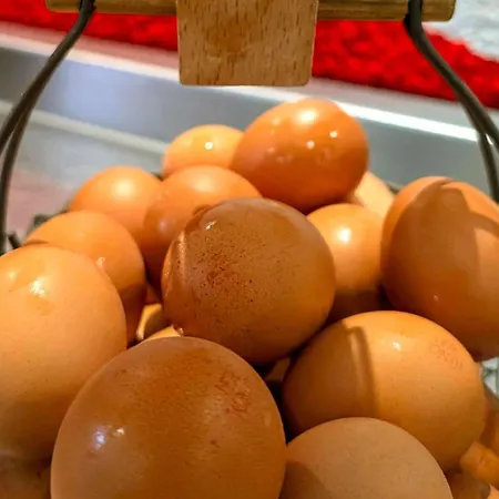 Ibis Centre Bastille