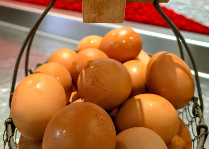 Ibis Centre Bastille