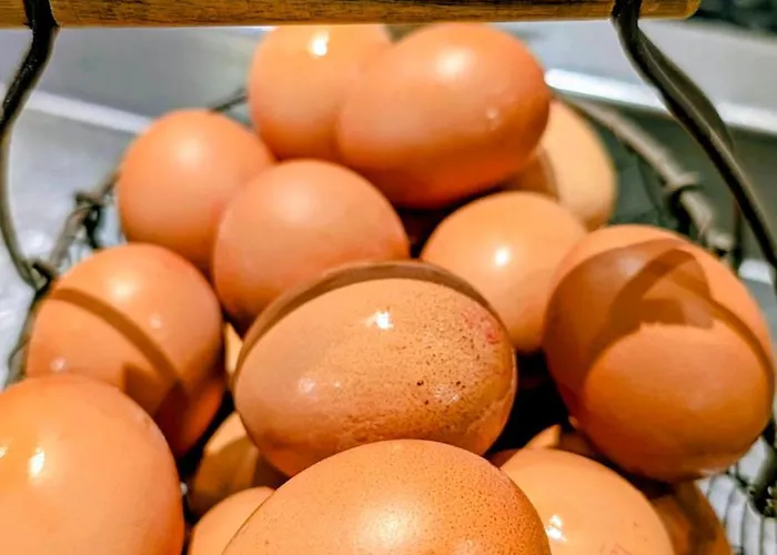 Ibis Centre Bastille Готель