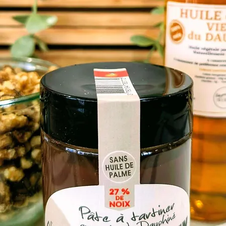 Ibis Centre Bastille غرونوبل